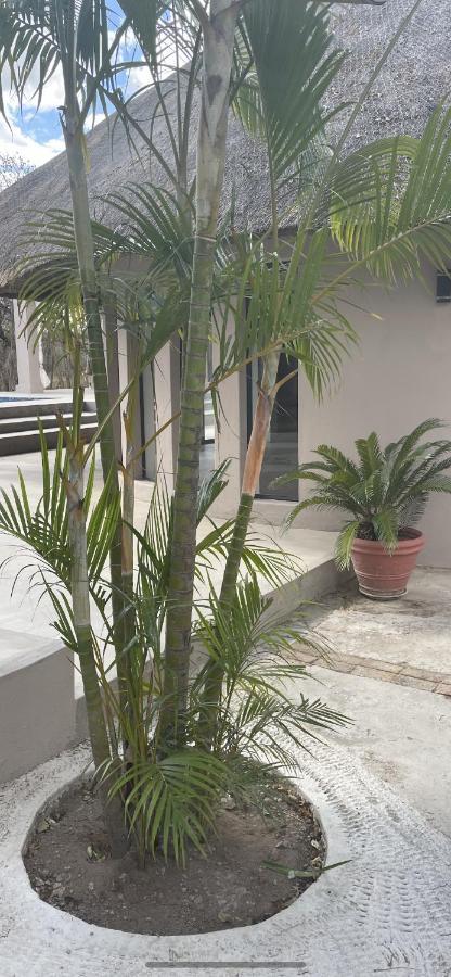 Wild Goose Hotel มาร์ลอทพาร์ค ภายนอก รูปภาพ